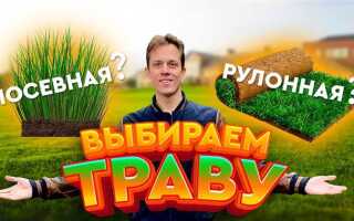 Какой рулонный газон лучше для частного дома