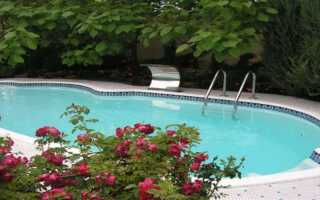 Что нужно для бассейна на даче