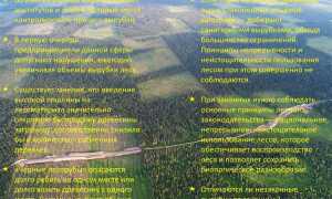 Что считается порослью и подлежит вырубке