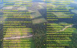 Что считается порослью и подлежит вырубке