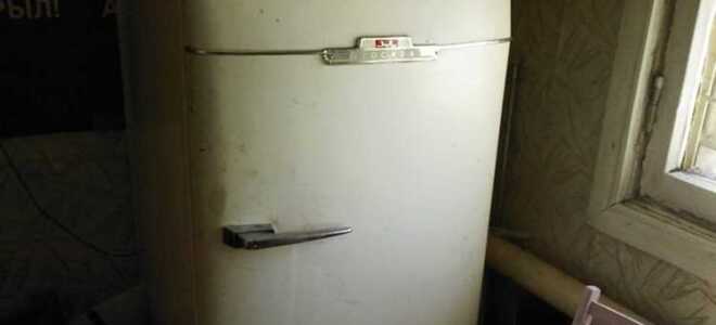 Какие холодильники выпускают в татарстане