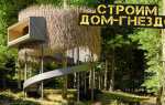 Где можно построить домик на дереве