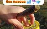 Как откачать воду из ямы без насоса