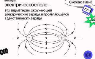 Какая величина характеризует электрическое поле