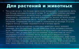 Какое значение влажности воздуха является комфортным для человека