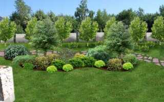 Как составить ландшафтный дизайн своего участка самому