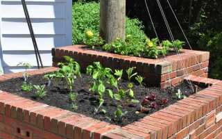 Как сделать клумбу из кирпича своими руками