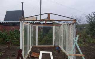 Как сделать теплицу из оконных рам