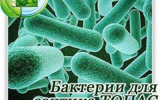 Аэробные и анаэробные бактерии для септика в чем разница