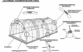 Как поставить крючки на теплицу из поликарбоната
