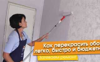 Сколько раз можно перекрашивать обои под покраску