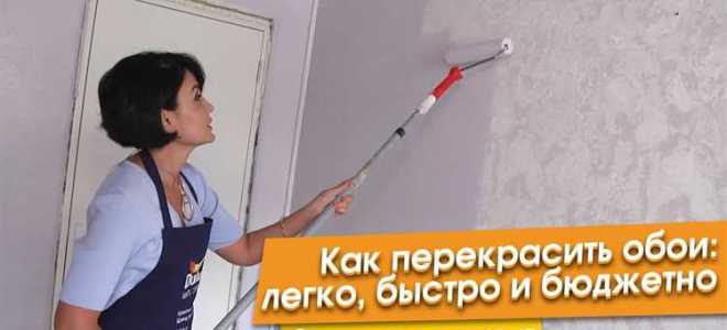 Сколько раз можно перекрашивать обои под покраску