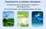 Что такое влажность воздуха от чего она зависит