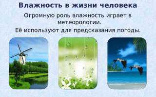 Что такое влажность воздуха от чего она зависит