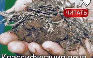 Как узнать какая почва в огороде кислая или щелочная