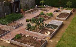 Как расположить грядки на участке в 4 сотки