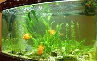 Сколько света нужно для аквариума