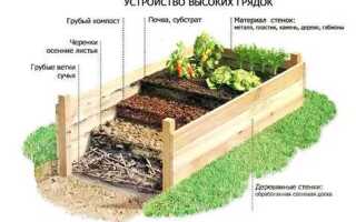 Торф или чернозем что лучше для грядок