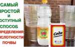 Как определить кислотность почвы в домашних условиях