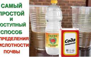 Как определить кислотность почвы в домашних условиях