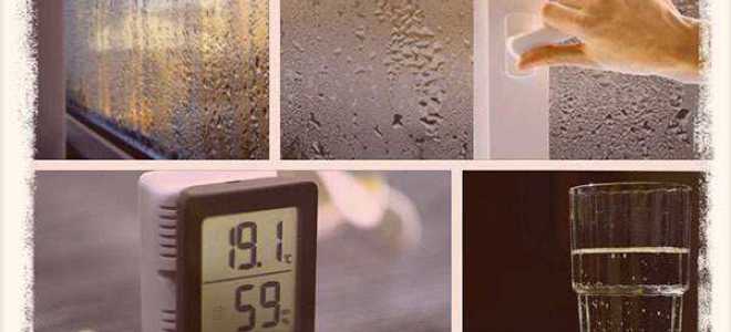 Какая влажность на увлажнителе в гостиной