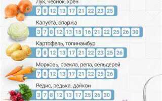 Как сажать помидоры расстояние между ними правильно