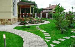 Как озеленить двор в частном доме