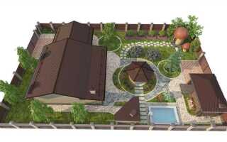 Как красиво расположить на участке тую