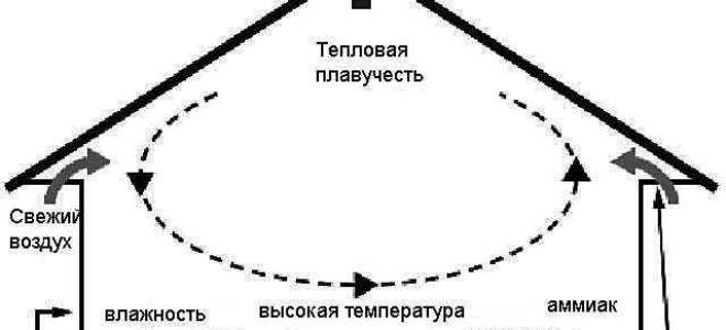 Как сделать вытяжку в курятнике своими руками правильно