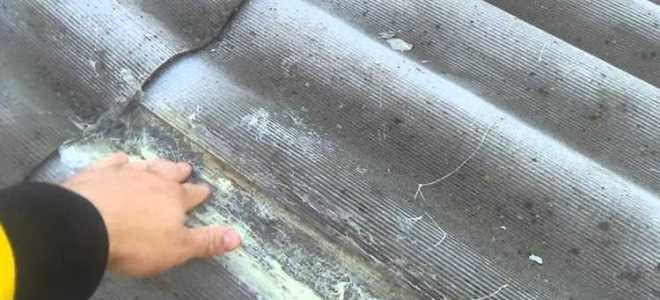 Чем покрасить шифер чтобы не смылась и не выгорела