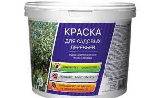 Побелка или краска для деревьев что лучше