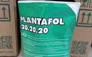 30 40 грамм плантафид это сколько