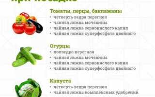 Посадка помидор что класть в лунку