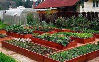 Как обустроить сад и огород красиво
