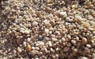 Какой песок дороже мелкий или средний