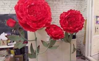 Как сделать ростовые цветы своими руками пошаговая инструкция