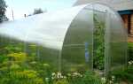 Как выбрать качественную теплицу из поликарбоната