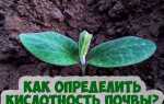 Как определить кислотность почвы на даче самостоятельно