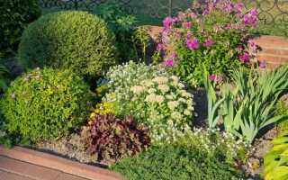 Что посадить за забором со стороны улицы