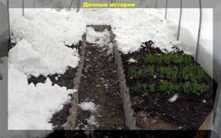 Как прогреть землю в теплице для ранних посадок