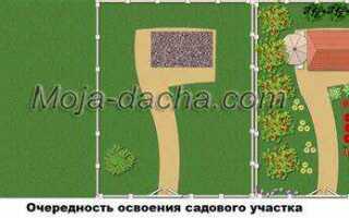 С чего начать на дачном участке после покупки