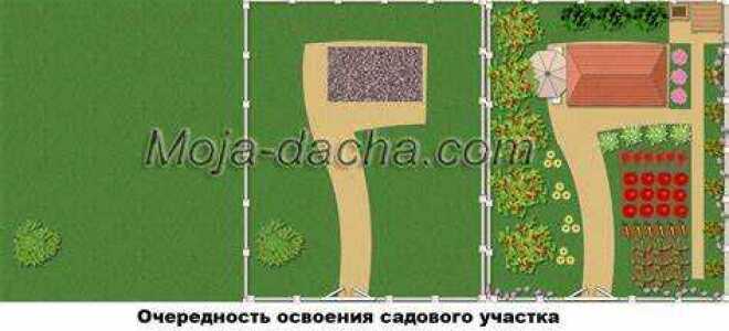 С чего начать на дачном участке после покупки