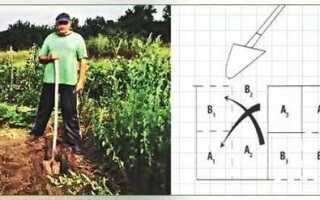 Как вскопать целину на даче своими руками