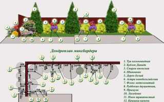 Как сажать сосны на участке вдоль забора