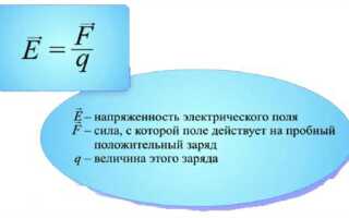 Какая величина является силовой характеристикой электрического поля