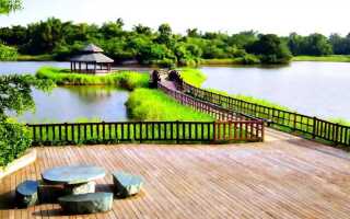 Как укрепить берег пруда на даче