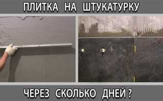 Через сколько дней можно класть плитку на цементную штукатурку