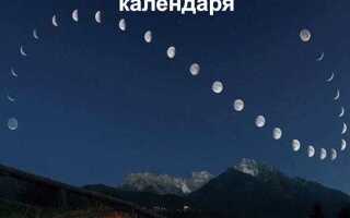 Кто нибудь сажает без лунного календаря