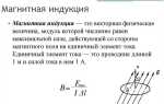 Что характеризует вектор индукции магнитного поля земли
