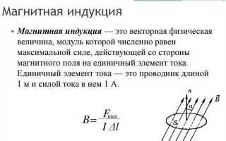 Что характеризует вектор индукции магнитного поля земли